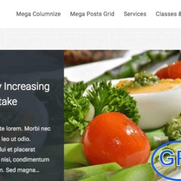 Wellness Pro – Health, Fitness & Wellness WordPress Theme by FameThemes Wellness Pro by FameThemes is a fully responsive and multipurpose WordPress theme crafted for health, fitness, and wellness websites.