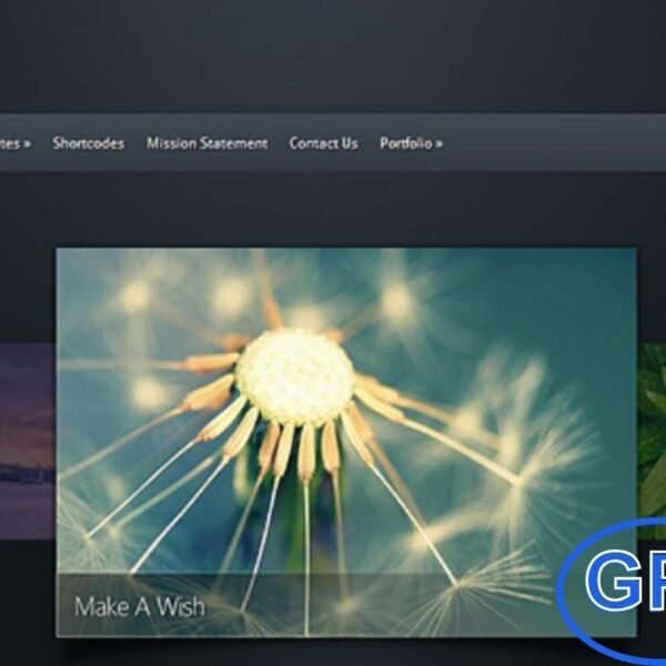 Elegant Themes Envisioned v3.5.14