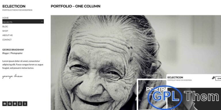 CSSIgniter – Eclecticon WordPress Theme