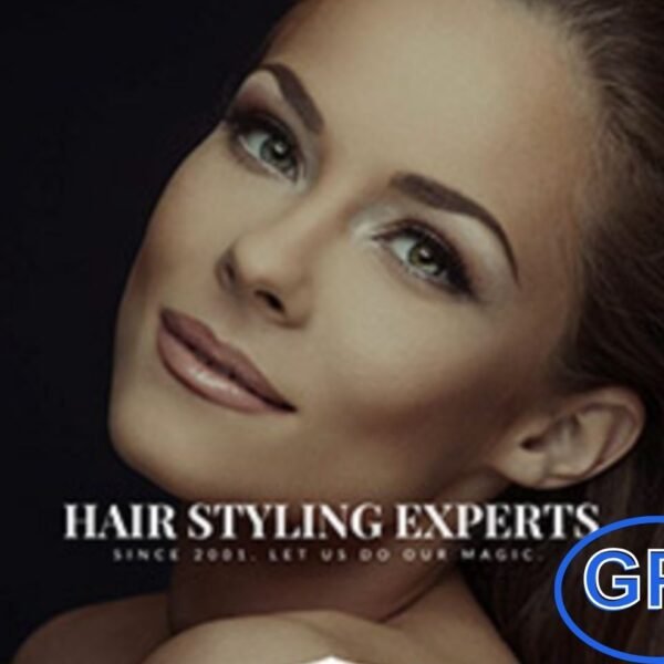 CSSIgniter – The Styler Ignition WordPress Theme