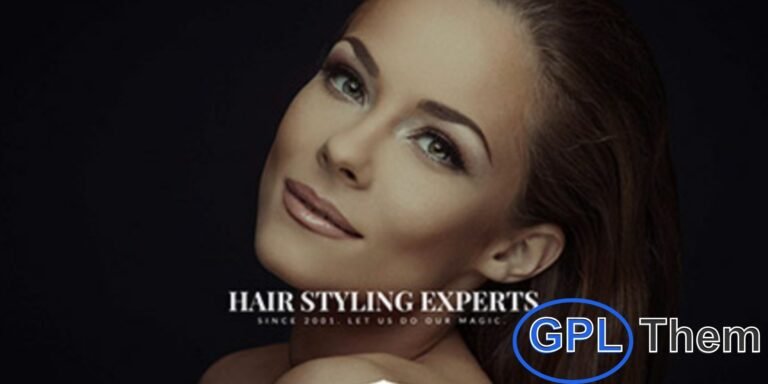 CSSIgniter – The Styler Ignition WordPress Theme