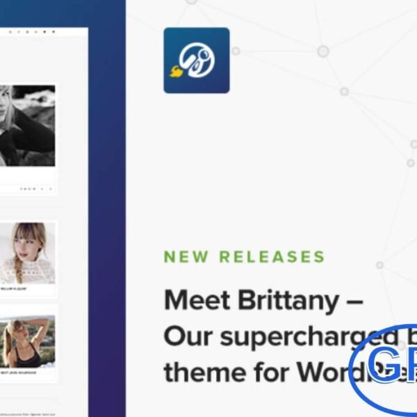 CSSIgniter – Brittany WordPress Theme