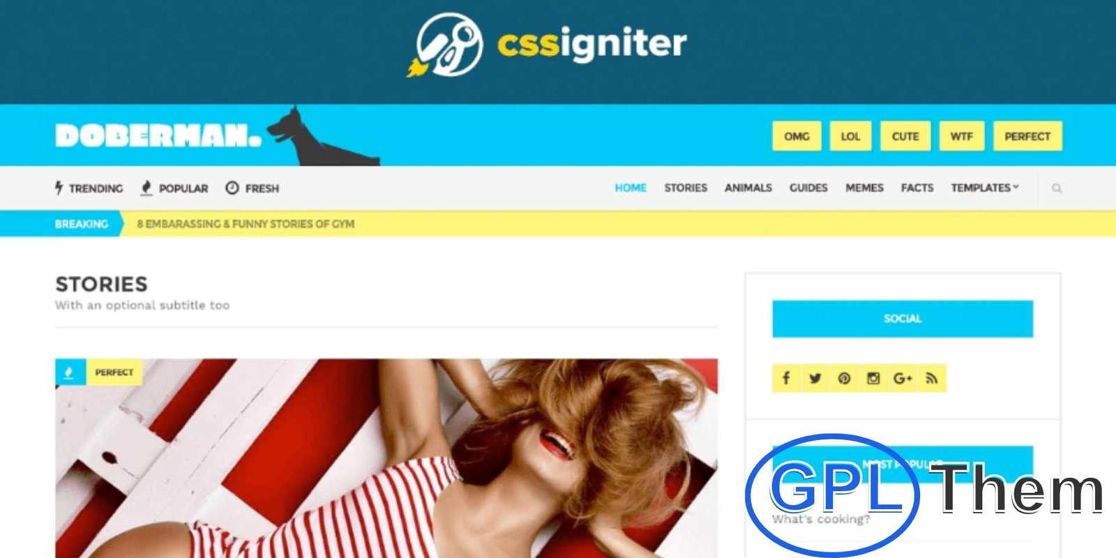 CSSIgniter – Doberman WordPress Theme CSSIgniter – Doberman WordPress Theme Download the CSSIgniter Doberman WordPress Theme, a bold and modern theme perfect for magazines, news websites, and lifestyle blogs. With its dynamic and content-driven layout, Doberman makes it easy to highlight trending stories, featured articles, images, and videos in an engaging way.