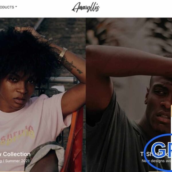 CSSIgniter – Amaryllis WordPress Theme