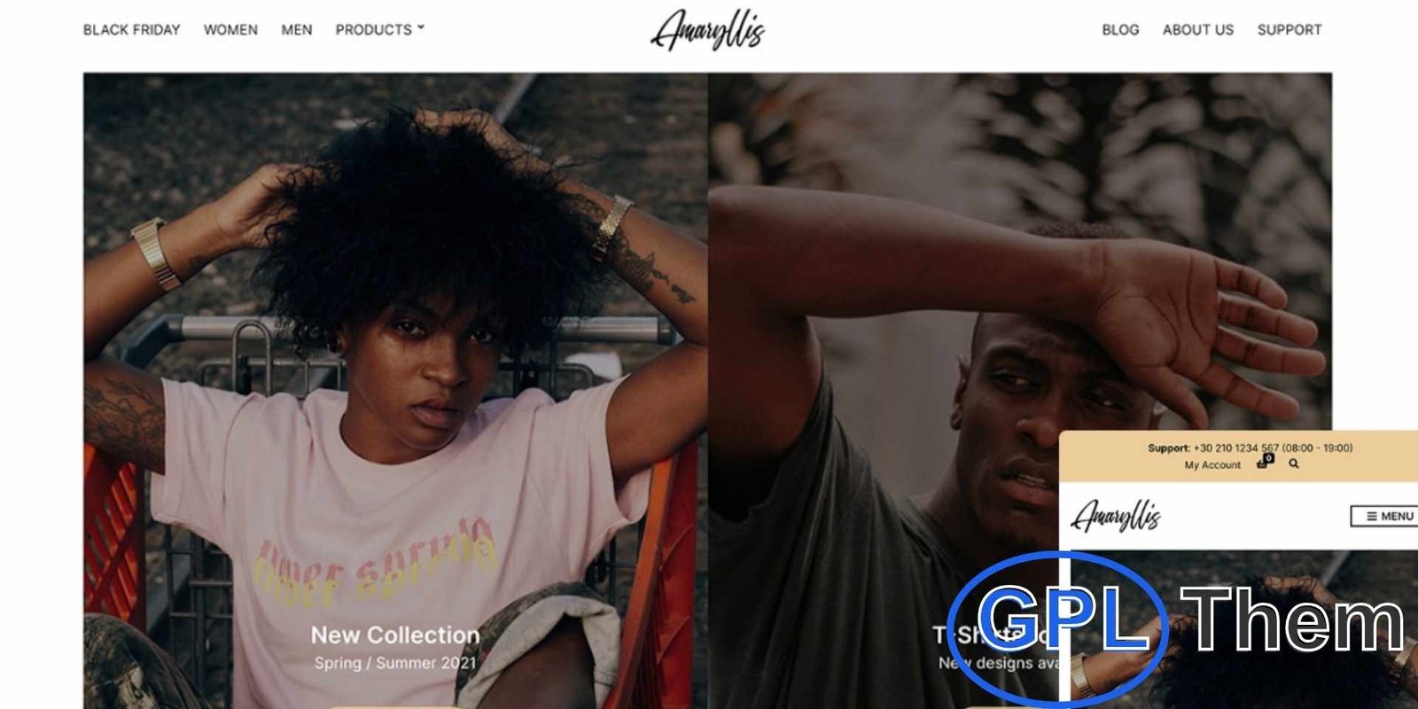 CSSIgniter – Amaryllis WordPress Theme CSSIgniter – Amaryllis WordPress Theme