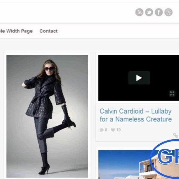 CSSIgniter – Pinfinity WordPress Theme