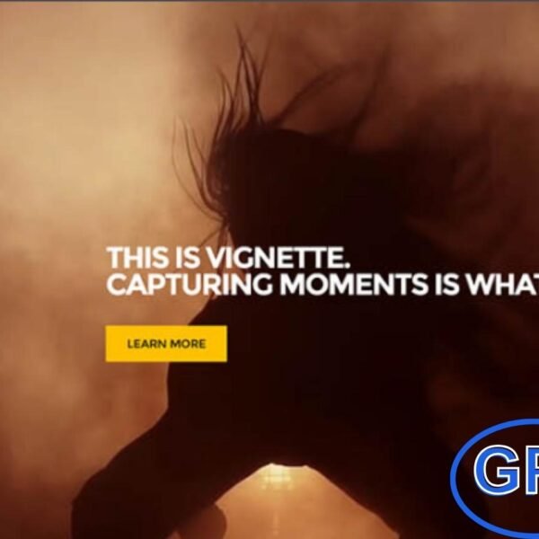 CSSIgniter – Vignette WordPress Theme