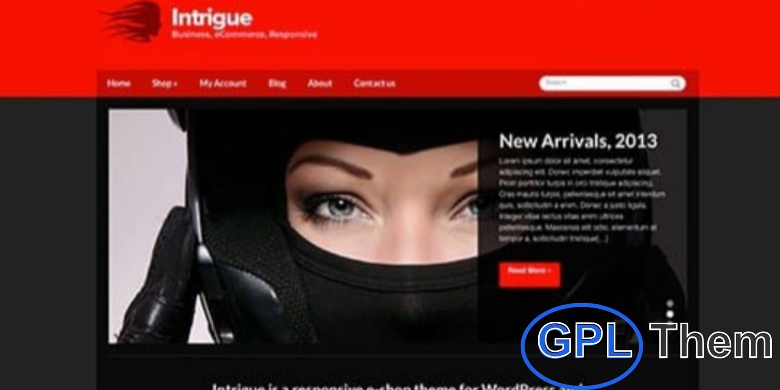 CSSIgniter – Intrigue WordPress Theme CSSIgniter – Intrigue WordPress Theme