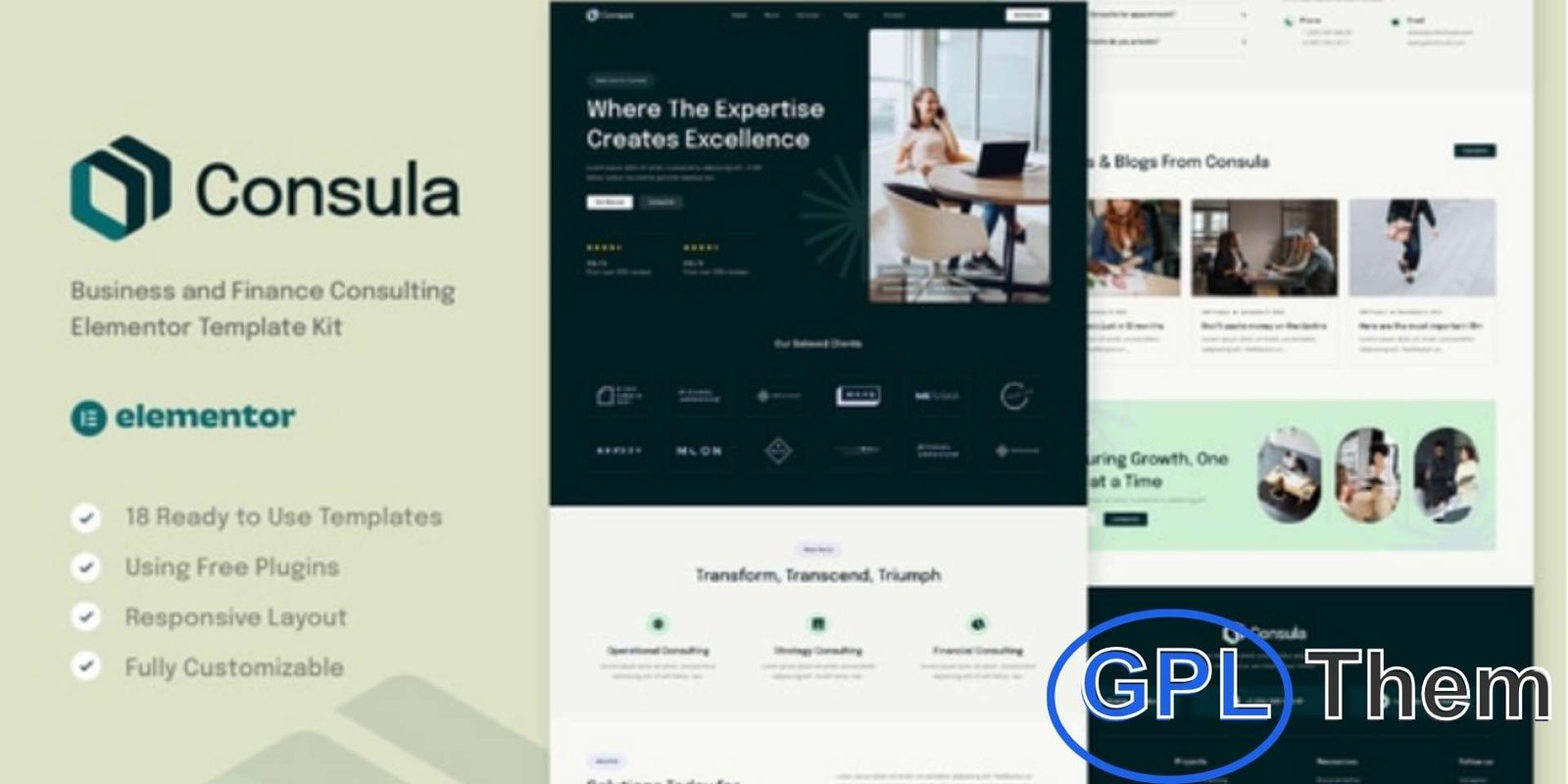 Consula – Business and Finance Consulting Elementor Template Kit Consula – Business & Finance Consulting Elementor Template Kit Consula is a modern and professional Elementor Template Kit designed for business, finance, and consulting websites. Perfect for corporate firms, startups, marketing agencies, financial advisors, and management companies, Consula helps you create a strong online presence with ease. Its clean and elegant design ensures your website looks polished and trustworthy while staying fully responsive across all devices.